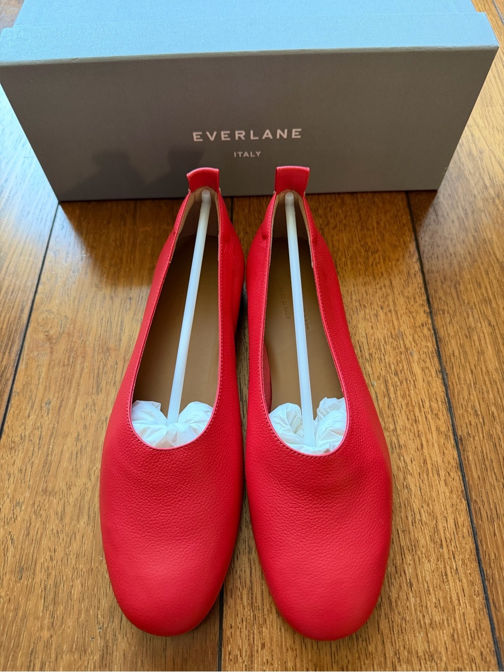 Everlane The Day Glove in Red Calf Leather Size 6.5 NEW